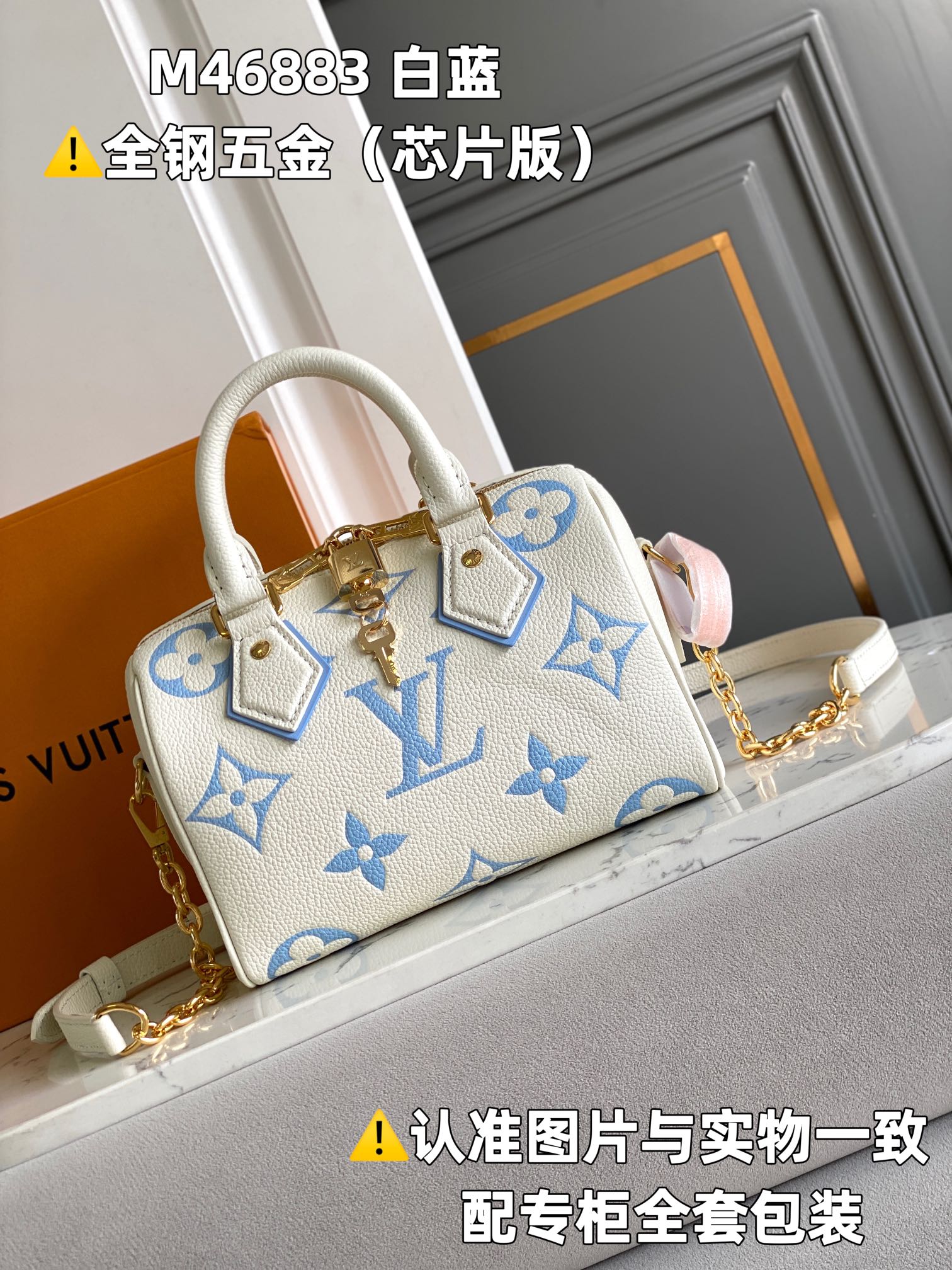 Louis Vuitton Speedy Bags